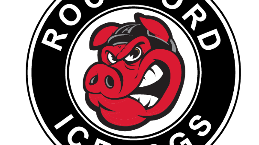 Ice Hogs Primary Logo